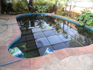 Swimming Pool Maintenance Before