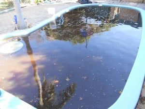 Swimming Pool Maintenance Before