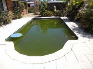 swimming pool maintenance Before